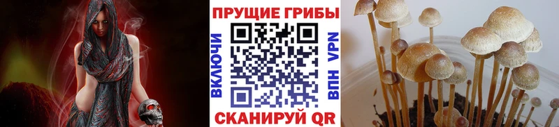 Галлюциногенные грибы MAGIC MUSHROOMS  Кремёнки 